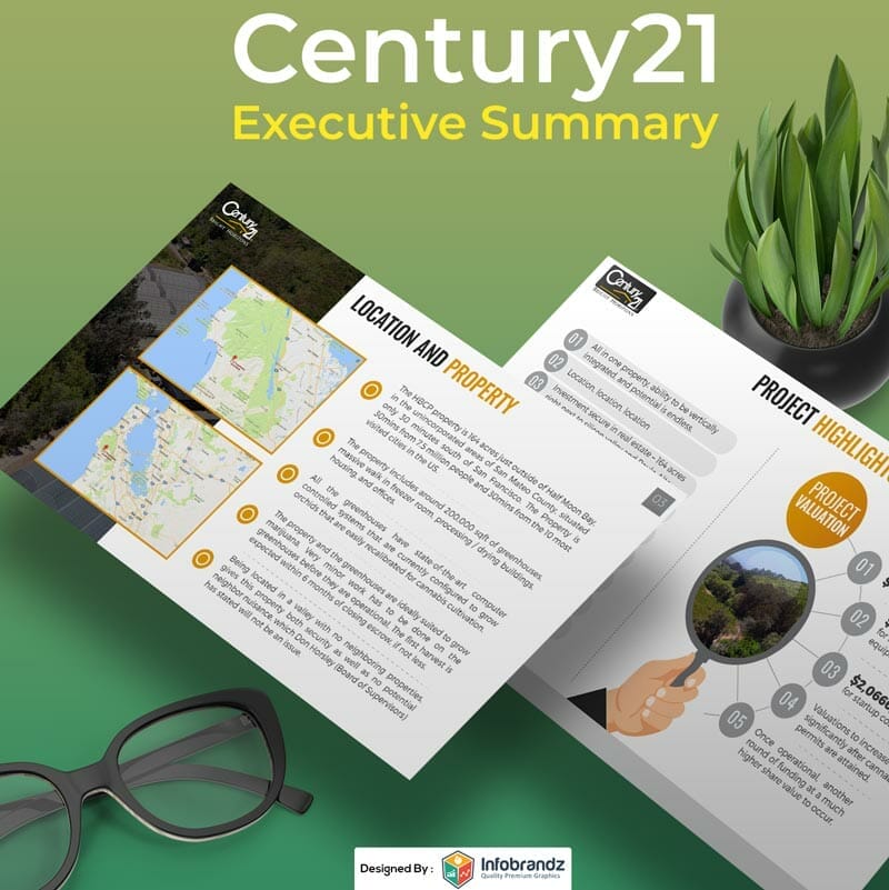 Executive Summary Design,Content Marketing Design Agency,Infographic Design Agency