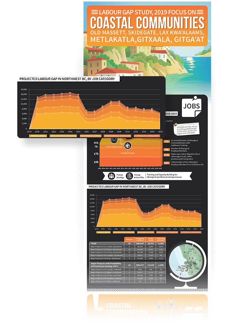 Infographic Designer